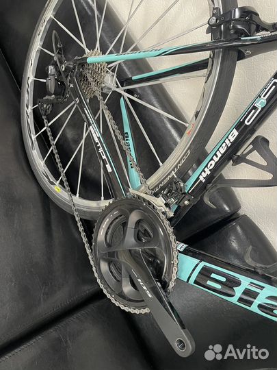 Bianchi sempre pro