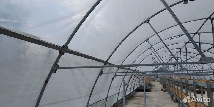 Теплица профессиональная