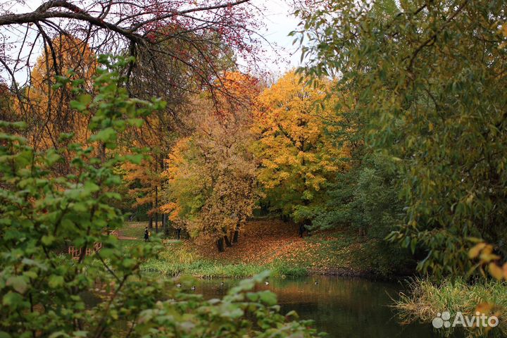 В Прокат объектив Canon EF 40mm f/2.8 STM +