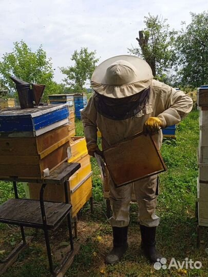 Мëд разнотравье из Беларуси