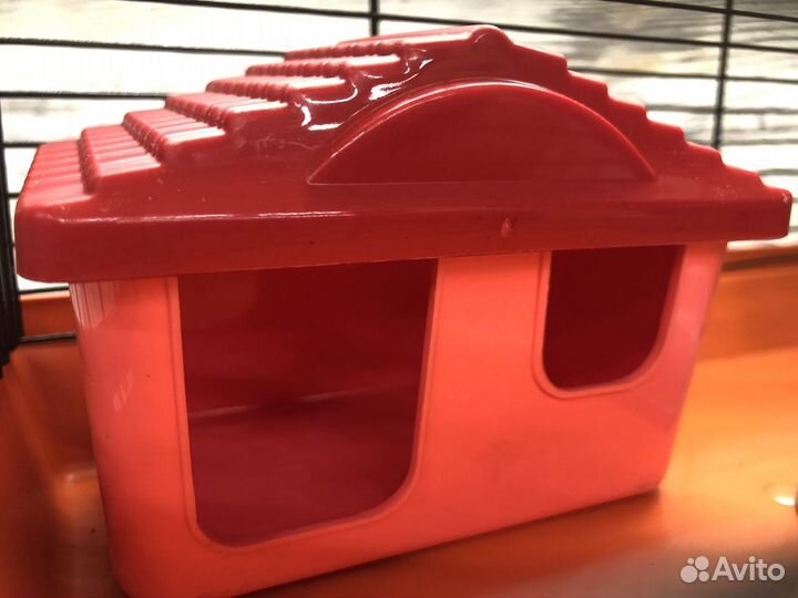 Новая клетка для хомяка джунгарика, джунгарского