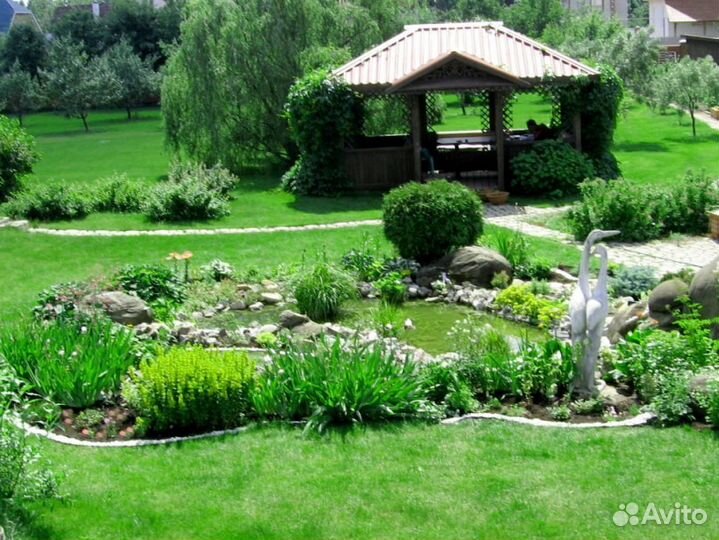 Газон рулонный’Эталон’ Татарстан