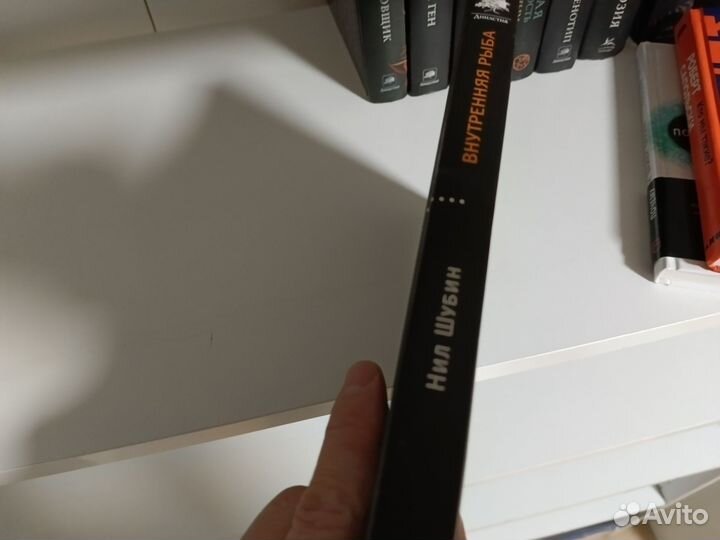 Нил Шубин, Внутренняя рыба