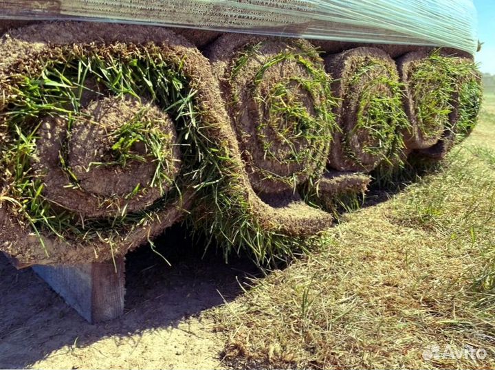 Газон рулонный гарантия