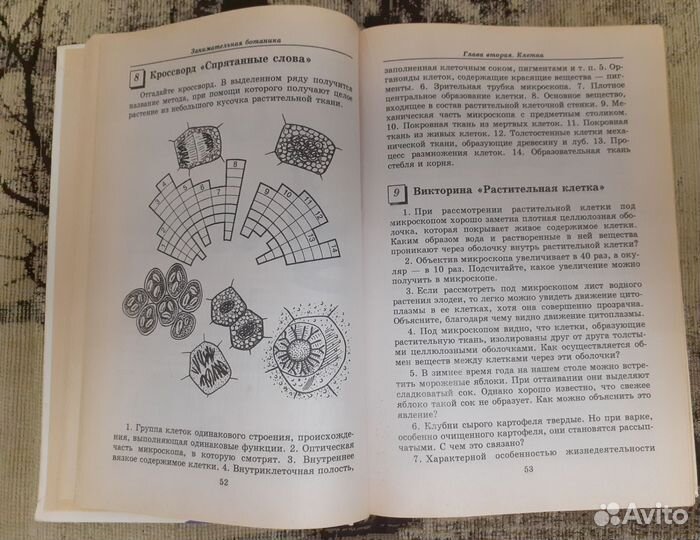 Занимательная ботаника