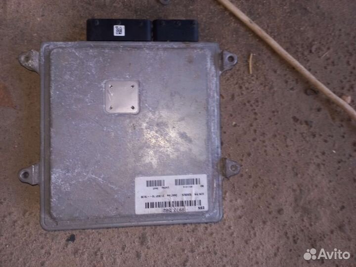 Мозги на Газель