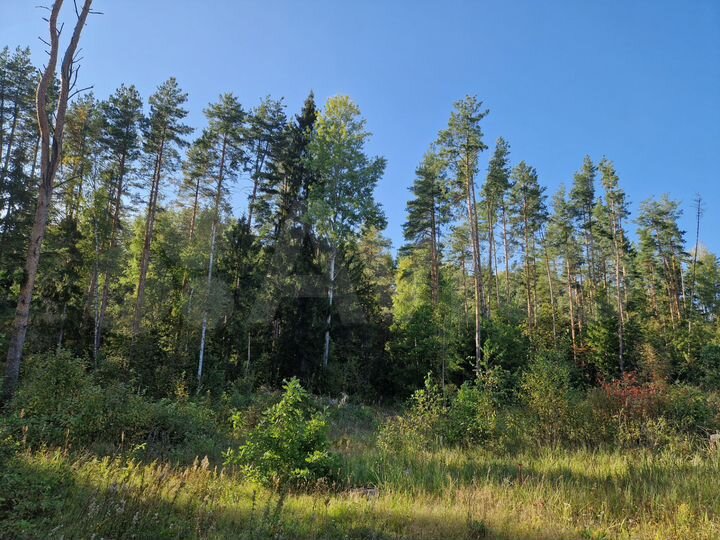 Участок 21 сот. (ИЖС)