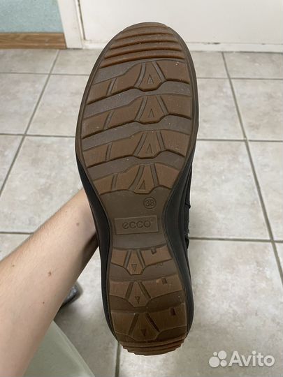 Сапоги ecco зимние