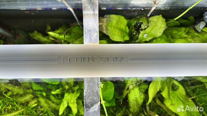 Аквариум с тумбой juwel 125 литров