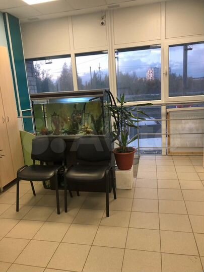 Свободного назначения, 41 м²