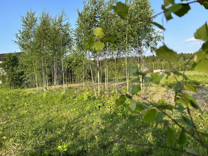 Участок 20 сот. (ИЖС)