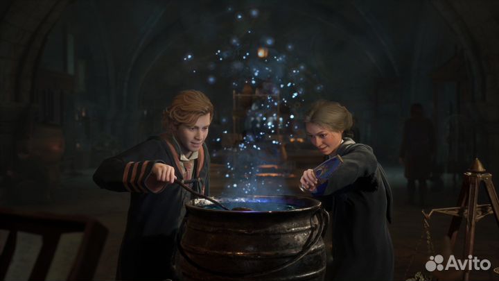 Hogwarts Legacy (PS4, PS5