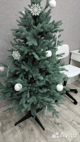 Ель голубая