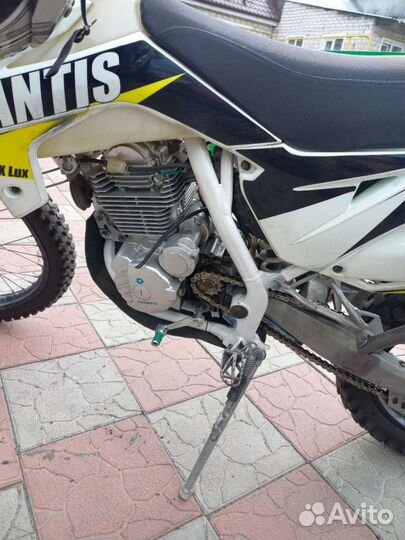 Avantis fx 250 lux птс (обмен не интересует)