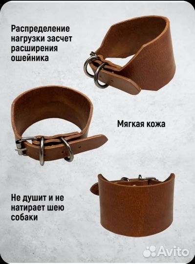 Ошейник для собак