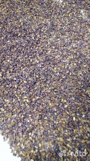 Мульча скорлупа кедрового ореха