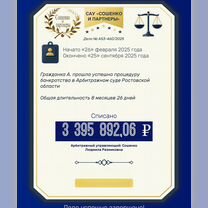 Законное списание долгов. Банкротство физ лиц, Софрино