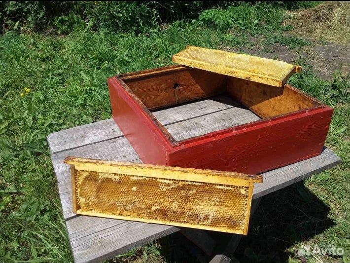 Продам сушь,магазины(для пчел)