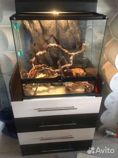 Террариум 60*60*45 см