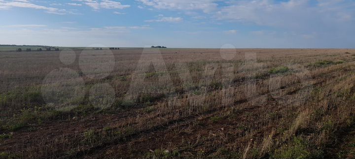 Участок 13,01 га (СНТ, ДНП)