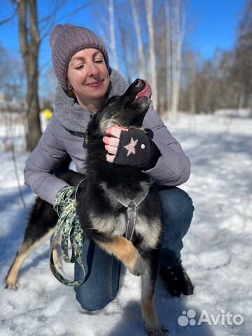 Очень умный паркнь в поиске дома