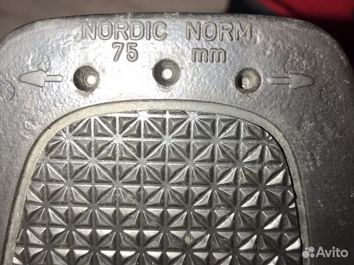 Лыжные ботинки