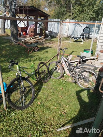 Хобби и отдых