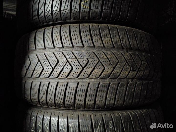 Pirelli Scorpion Winter 255/50 R19 Y