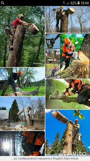 Спил деревьев