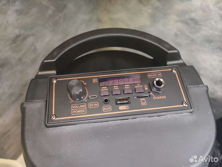 Колонка большая с микрофоном гарантия