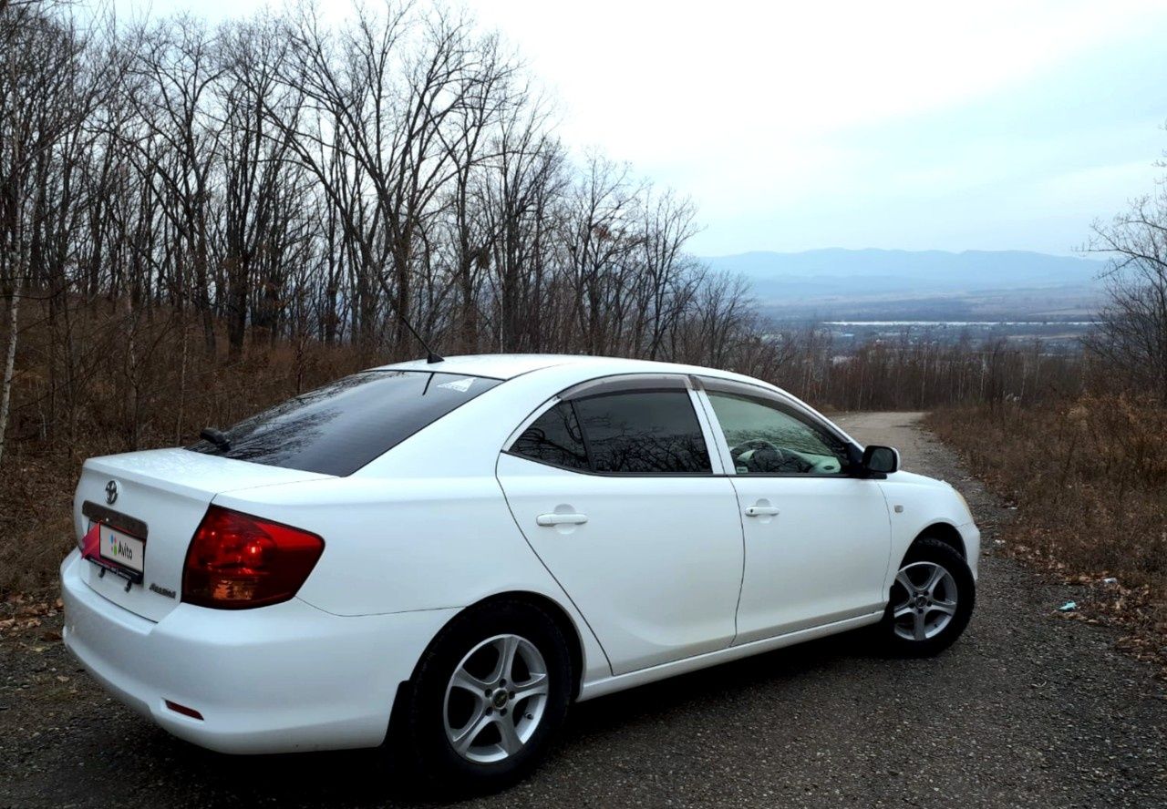 Toyota Allion: фото владельца