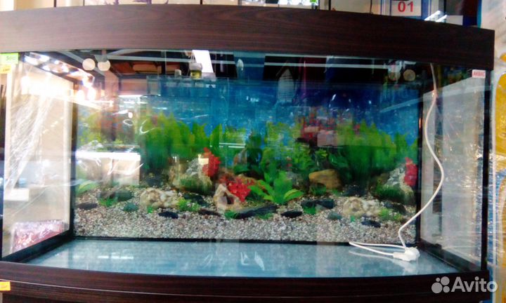 Панорамные аквариумные комплексы