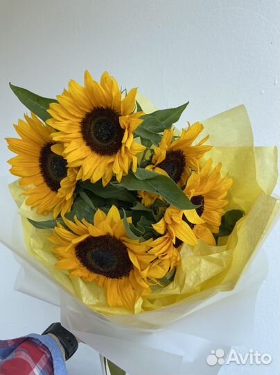 Живые цветы букеты композиции