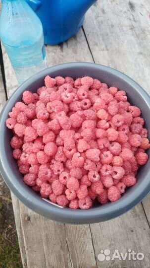 Малина, цена за литр, деревенская