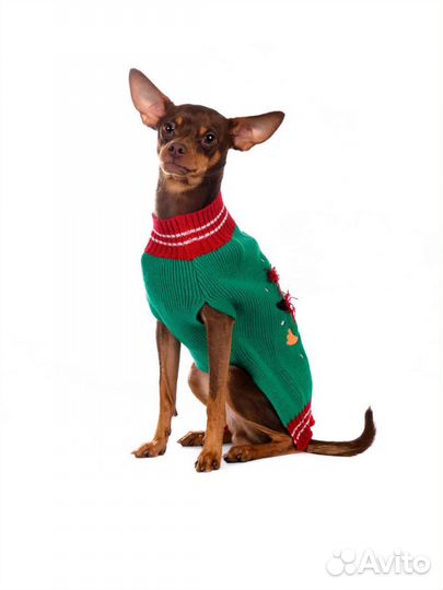Свитер для собак мелких пород Rurri S новый