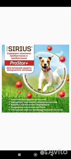 Корм для собак