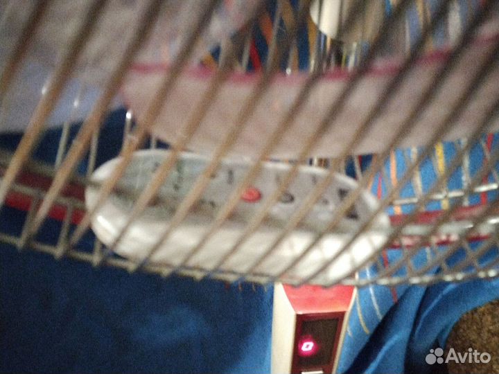 Вентилятор напольный mystery