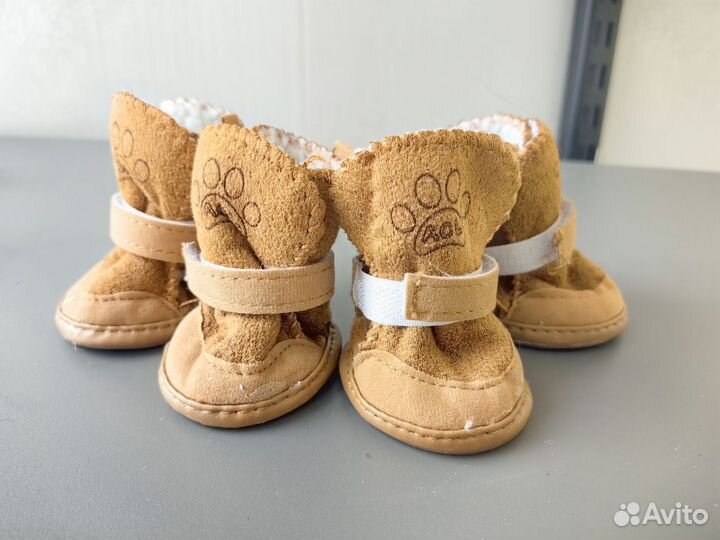 Сапожки для собаки