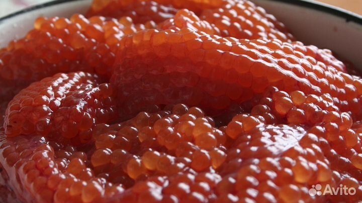 Красная Икра 1кг