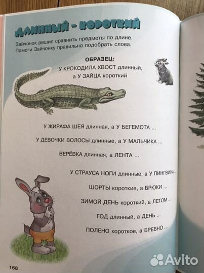 Развитие и обучение дошкольника