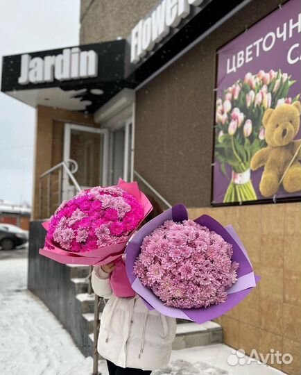 Хризантема