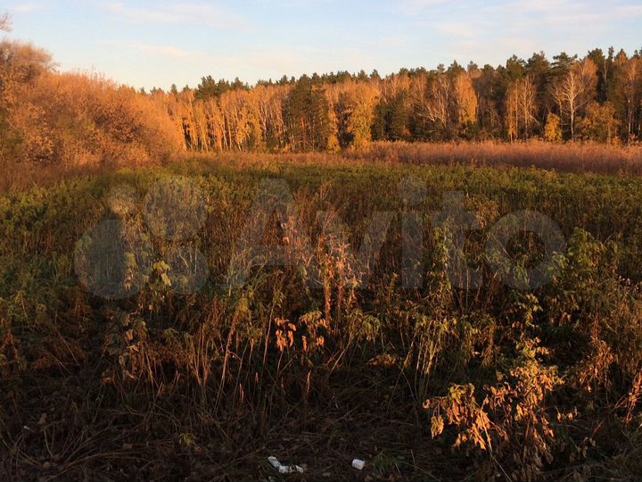 Участок 10 сот. (ИЖС)