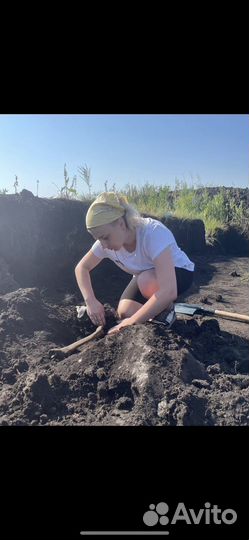 Репетитор по истории егэ