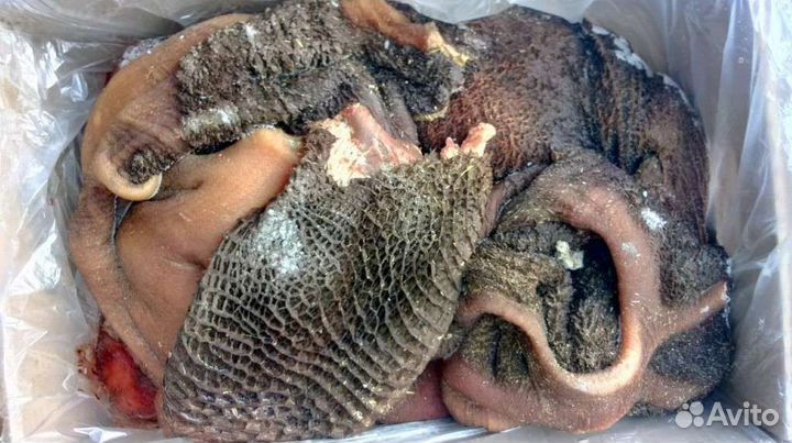 Мясо для животных (собак и кошек)