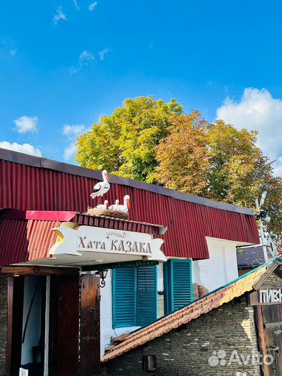 Работа барменом