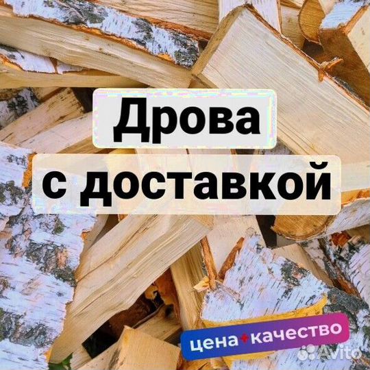 Дрова берёза