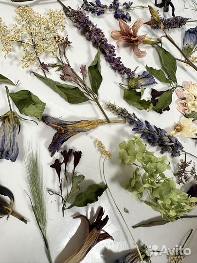 Готовый набор сухоцветов для эпоксидной смолы