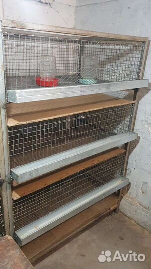 Клетка из 3 уровней для цыплят