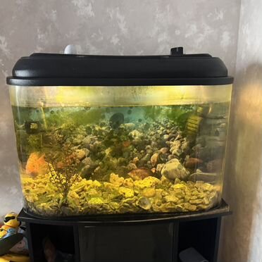 Аквариум с тумбой