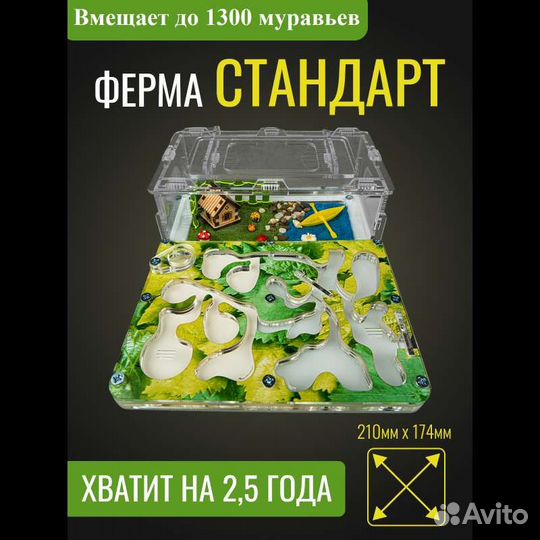 Муравьиная ферма Стандарт. В наличии, с муравьями